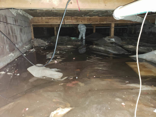 Trusted Water Damage Restoration in Embreeville, TN | Fast, Reliable, and Ready to Assist You